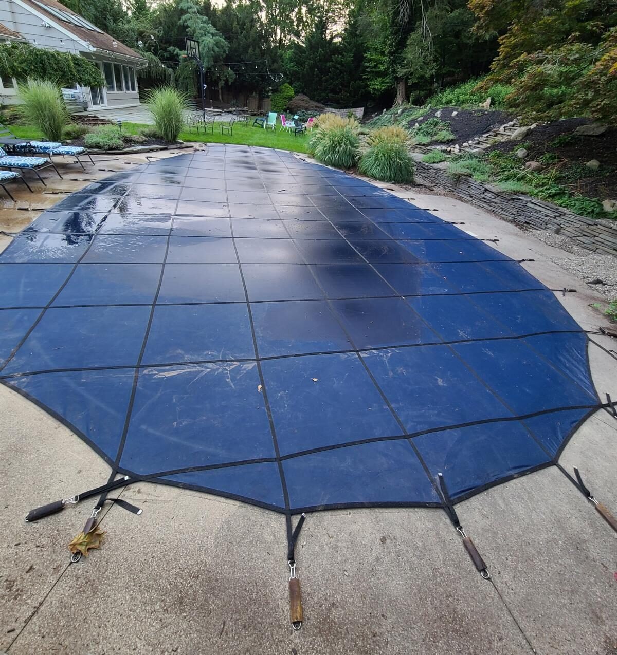 PHOTO 2026 03 03 20 16 55 e1772584192409